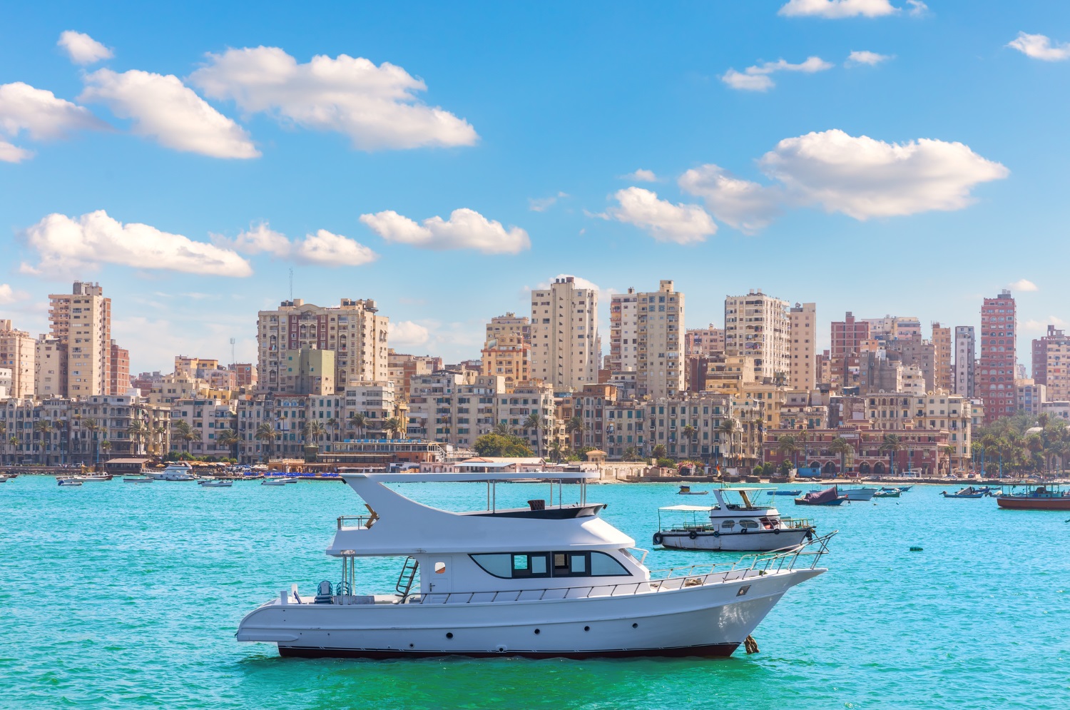 アレクサンドリア(Alexandria)の画像