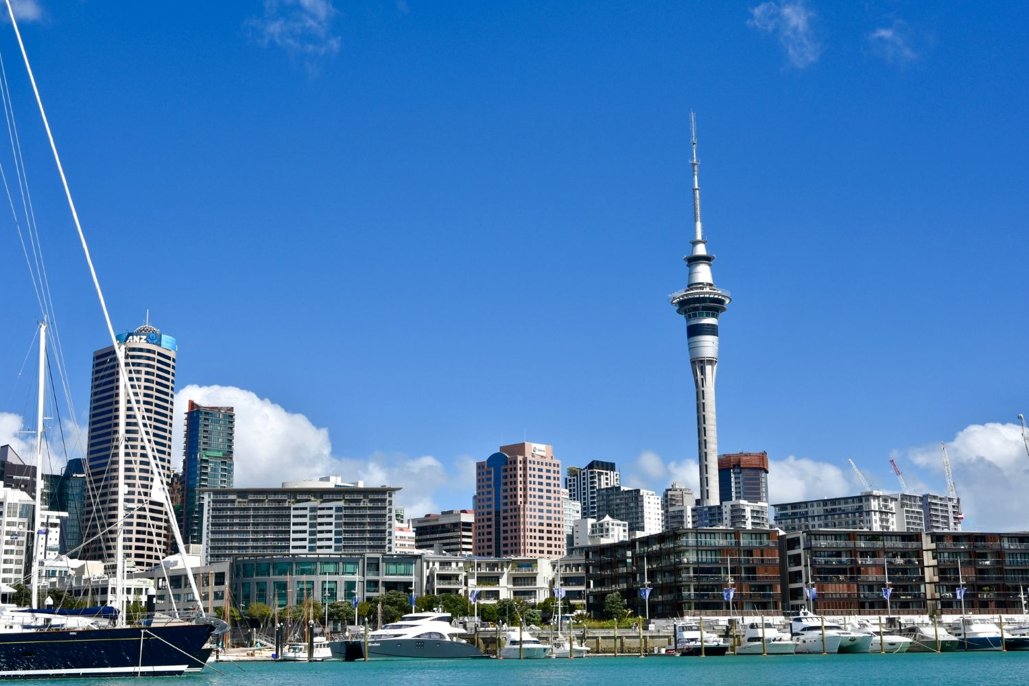 オークランド（Auckland ）の画像