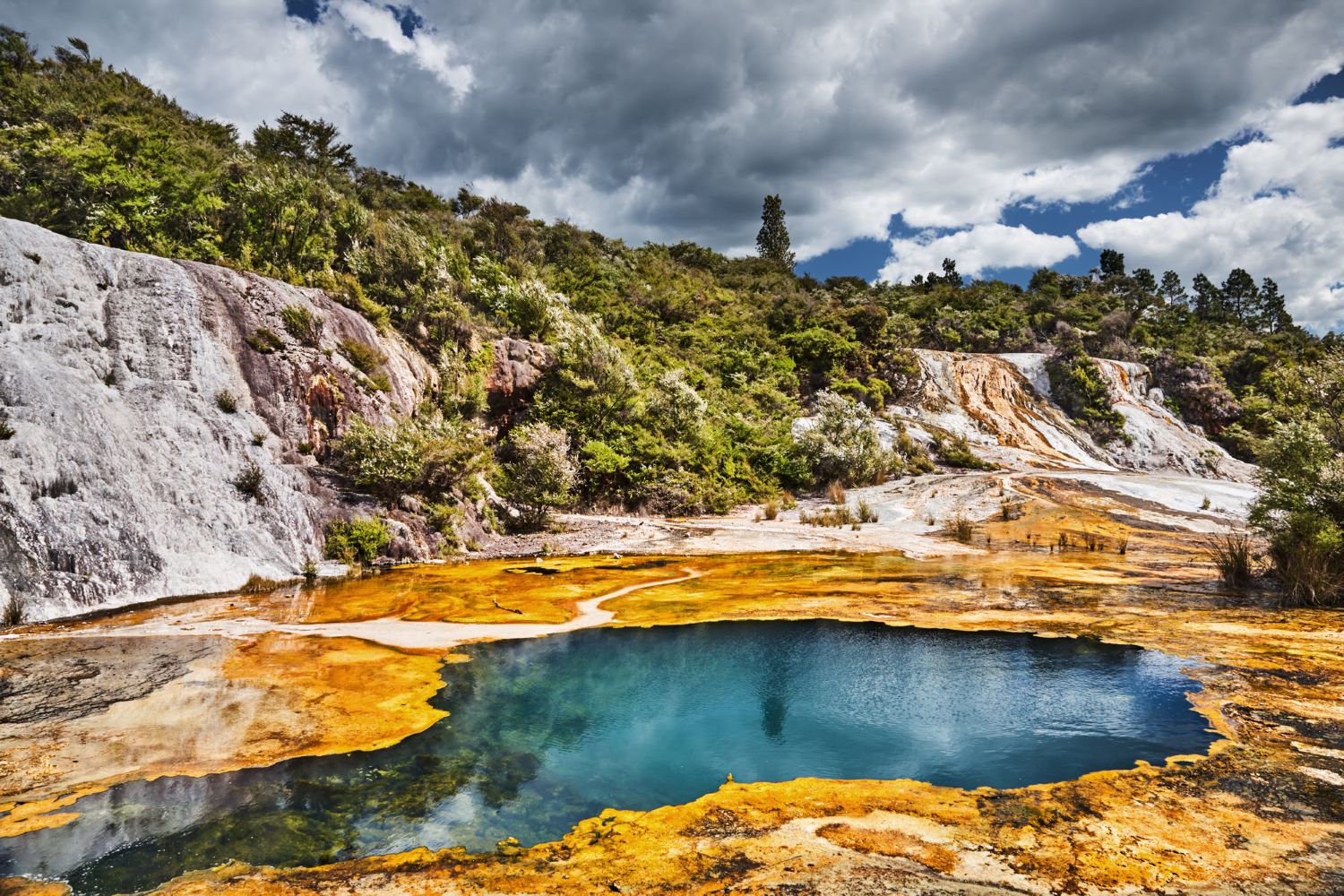 間欠泉（Geothermal Geysers）の画像