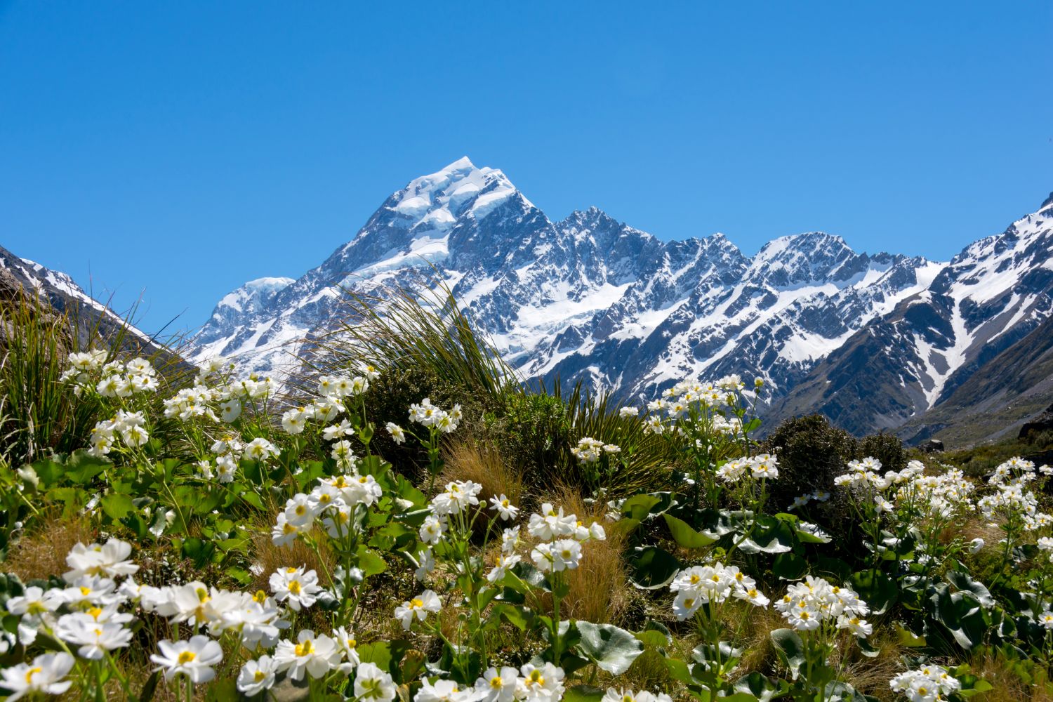 マウントクック（Mount Cook）の画像